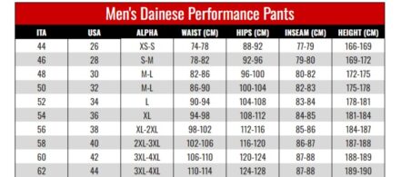 DAINESE DELTA 4 PERFORATED LEATHER PANTS - Image 3